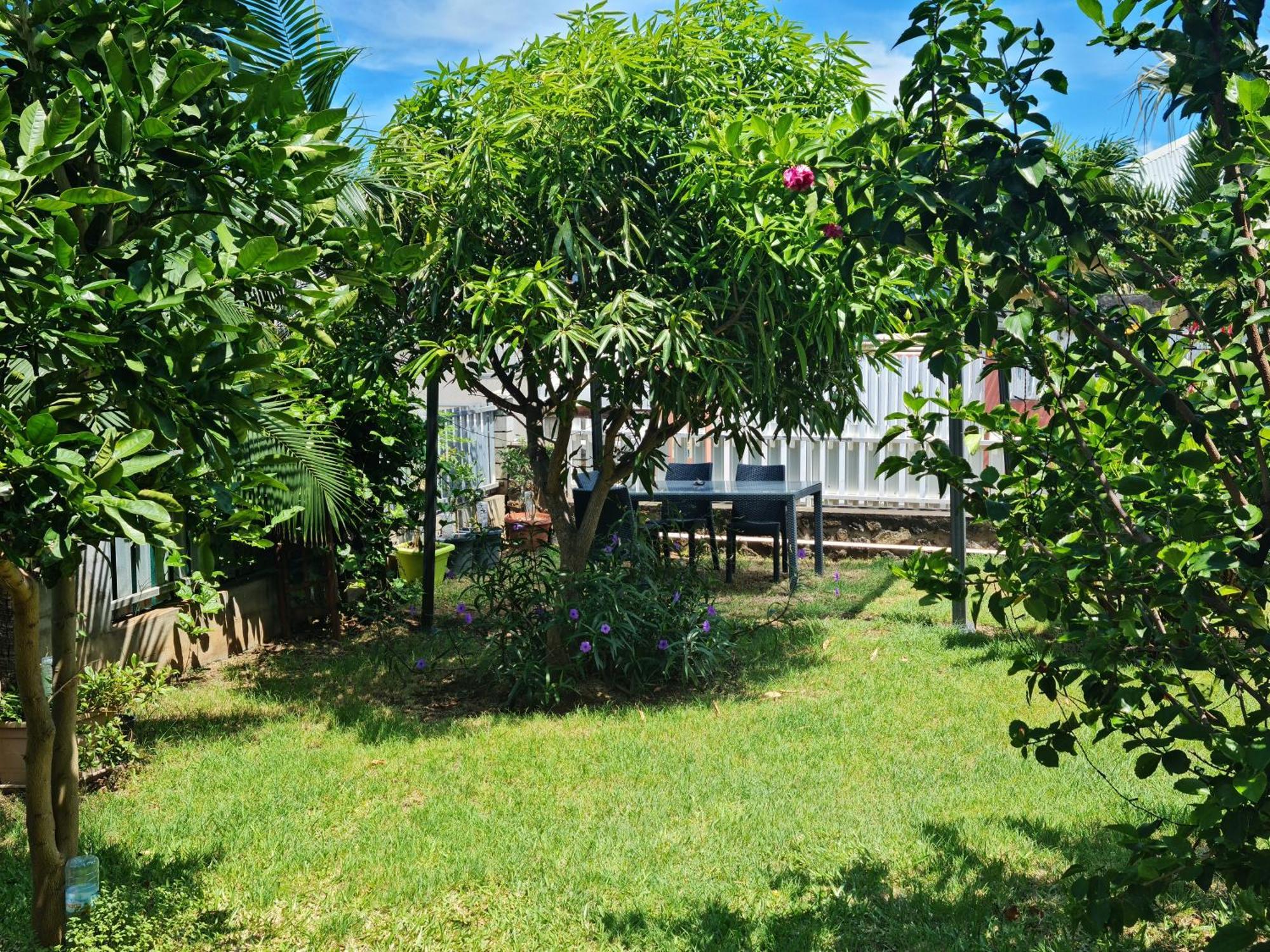 Zoizo Vert - Studio Au Calme Avec Jardin - St Leu Saint-Leu Exterior foto